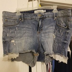 Torrid shorts